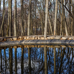 Гостевой дом Дом в лесу, Верхнеуслонский район, Татарстан