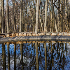 Гостевой дом Дом в лесу, Верхнеуслонский район, Татарстан