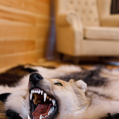 Гостевой дом Дом в лесу, Верхнеуслонский район, Татарстан