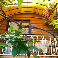 Гостевой дом у Моря, Сочи, Краснодарский край