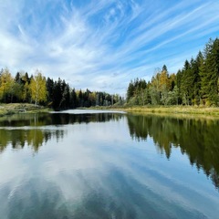 Коттедж Pine Forest, Истра, Московская область