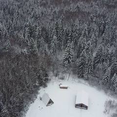 Коттедж Pine Forest, Истра, Московская область