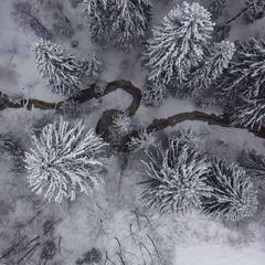 Коттедж Pine Forest, Истра, Московская область