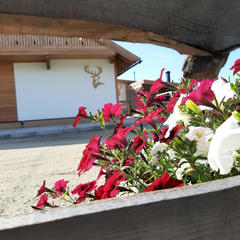 Гостевой дом Земляничная поляна, Колыванский район, Новосибирская область