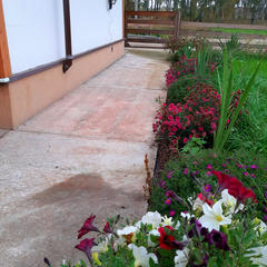 Гостевой дом Земляничная поляна, Колыванский район, Новосибирская область