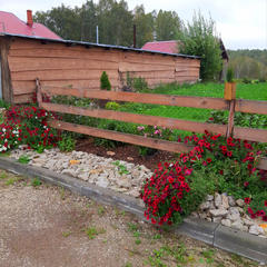 Гостевой дом Земляничная поляна, Колыванский район, Новосибирская область