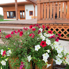 Гостевой дом Земляничная поляна, Колыванский район, Новосибирская область