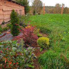 Гостевой дом Земляничная поляна, Колыванский район, Новосибирская область