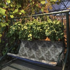 Гостиничный комплекс Баргузин, Тольятти, Самарская область