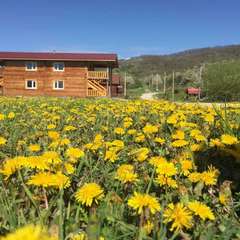 База отдыха Travel Hotels Тхач, Даховская, Республика Адыгея