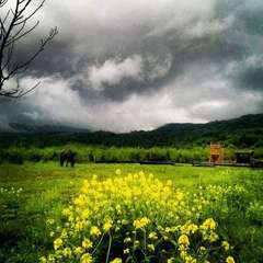 База отдыха Travel Hotels Тхач, Даховская, Республика Адыгея