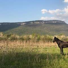 База отдыха Travel Hotels Тхач, Даховская, Республика Адыгея