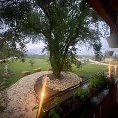 База отдыха Travel Hotels Тхач, Даховская, Республика Адыгея