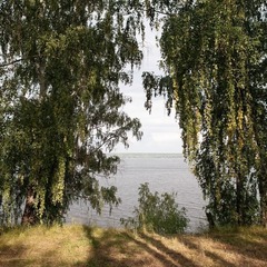 База отдыха SOKOLKI village, Верхнеуслонский район, Татарстан