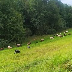 Комплекс отдыха  Гостевой дом, Бологовский район, Тверская область