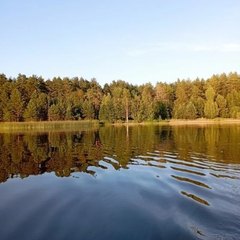 Комплекс отдыха  Гостевой дом, Бологовский район, Тверская область