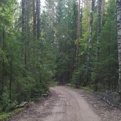 Комплекс отдыха  Гостевой дом, Бологовский район, Тверская область