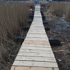 Комплекс отдыха  Гостевой дом, Бологовский район, Тверская область