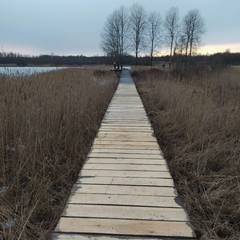 Комплекс отдыха  Гостевой дом, Бологовский район, Тверская область