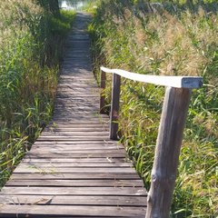 Комплекс отдыха  Гостевой дом, Бологовский район, Тверская область