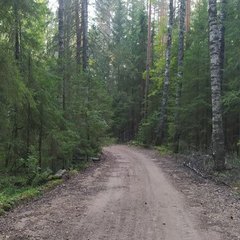 Комплекс отдыха  Гостевой дом, Бологовский район, Тверская область