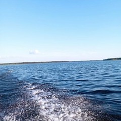 Комплекс отдыха  Гостевой дом, Бологовский район, Тверская область