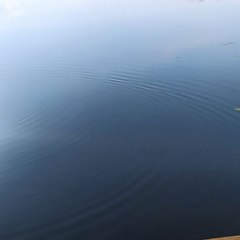 Комплекс отдыха  Гостевой дом, Бологовский район, Тверская область