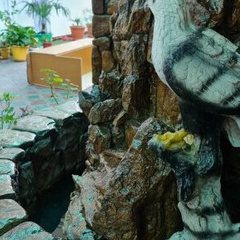 Гостевой дом Киевский дворик, Сочи, Краснодарский край