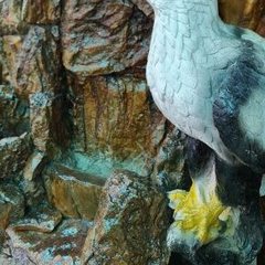 Гостевой дом Киевский дворик, Сочи, Краснодарский край