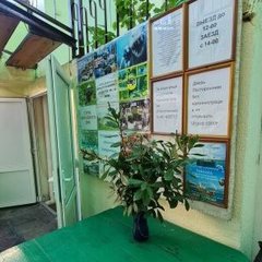 Гостевой дом Киевский дворик, Сочи, Краснодарский край