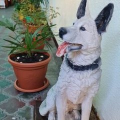 Гостевой дом Киевский дворик, Сочи, Краснодарский край