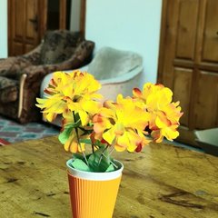 Гостевой дом Киевский дворик, Сочи, Краснодарский край