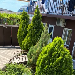 Гостевой дом Робинзон и Милана, Сочи, Краснодарский край