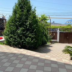 Гостевой дом Робинзон и Милана, Сочи, Краснодарский край