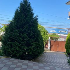 Гостевой дом Робинзон и Милана, Сочи, Краснодарский край