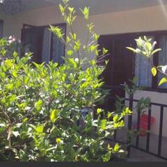 Гостевой дом Робинзон и Милана, Сочи, Краснодарский край