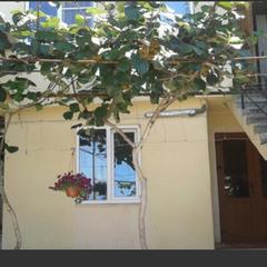 Гостевой дом Робинзон и Милана, Сочи, Краснодарский край