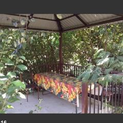 Гостевой дом Робинзон и Милана, Сочи, Краснодарский край