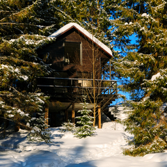 Глэмпинг Опушка. Дом среди деревьев, Пермский район, Пермский край