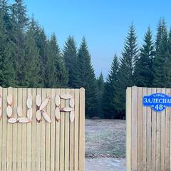 Глэмпинг Опушка. Дом среди деревьев, Пермский район, Пермский край