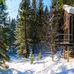 Глэмпинг Опушка. Дом среди деревьев, Пермский район, Пермский край