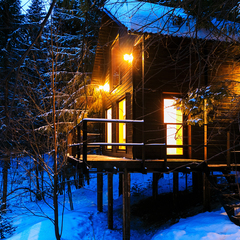 Глэмпинг Опушка. Дом среди деревьев, Пермский район, Пермский край