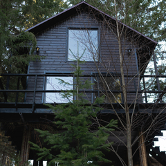 Глэмпинг Опушка. Дом среди деревьев, Пермский район, Пермский край