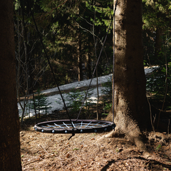 Глэмпинг Опушка. Дом среди деревьев, Пермский район, Пермский край