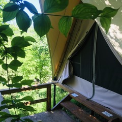 База отдыха Бегом к нам, Геленджик, Краснодарский край