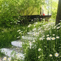 База отдыха Бегом к нам, Геленджик, Краснодарский край