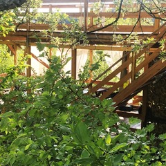 База отдыха Бегом к нам, Геленджик, Краснодарский край