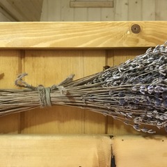 База отдыха Бегом к нам, Геленджик, Краснодарский край