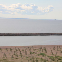 Апартаменты CruiseAparts, Санкт-Петербург, Ленинградская область