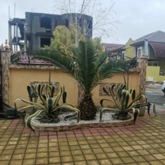 Гостевой двор Гостевой дом Ариетта, Сочи, Краснодарский край